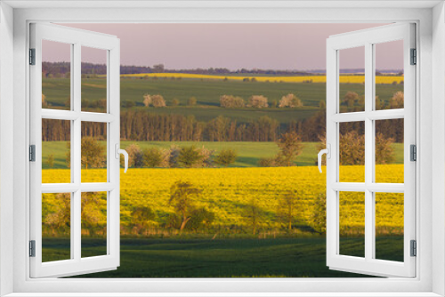 Fototapeta Naklejka Na Ścianę Okno 3D - Panorama of a spring field in Germany, agricultural land in Brandenburg