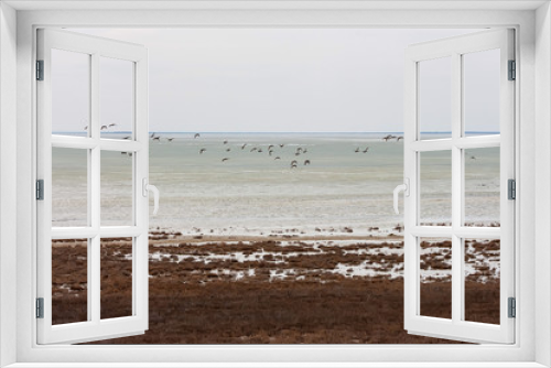 Fototapeta Naklejka Na Ścianę Okno 3D - Landscape with shore of salt lake
