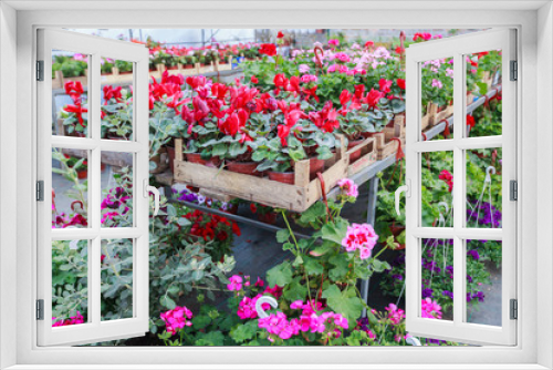 Fototapeta Naklejka Na Ścianę Okno 3D - Flowers Garden Store