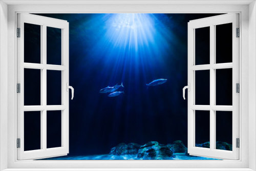 Fototapeta Naklejka Na Ścianę Okno 3D - Fish in sea