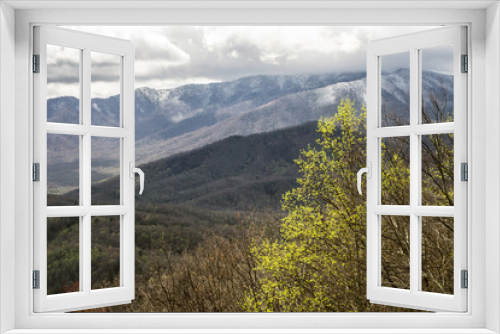 Fototapeta Naklejka Na Ścianę Okno 3D - New green growth beneath snow capped mountains.