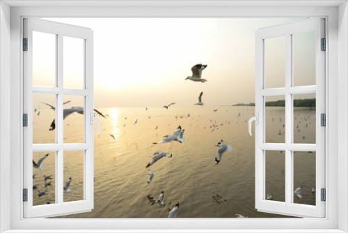 Fototapeta Naklejka Na Ścianę Okno 3D - flying seagull and sunset