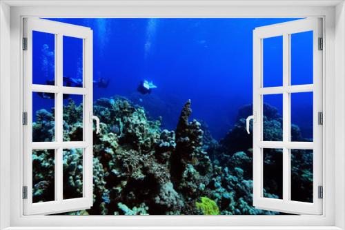 Fototapeta Naklejka Na Ścianę Okno 3D - divers underwater landscape