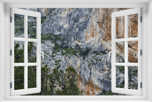 Fototapeta Naklejka Na Ścianę Okno 3D - Desfiladero de los Gaitanes, overgrown moutain and tree in front