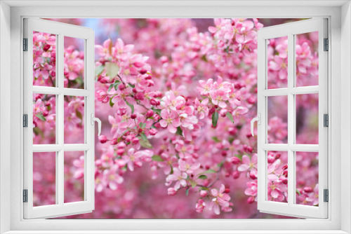 Fototapeta Naklejka Na Ścianę Okno 3D - The beautiful blooming branch