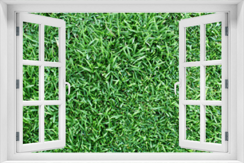 Fototapeta Naklejka Na Ścianę Okno 3D - Lawn