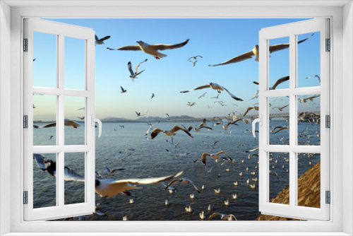 Fototapeta Naklejka Na Ścianę Okno 3D - Seagulls and sea