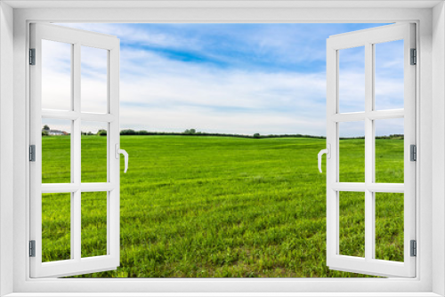 Fototapeta Naklejka Na Ścianę Okno 3D - Sky, road and green field, spring landscape