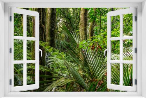 Fototapeta Naklejka Na Ścianę Okno 3D - Tropical jungle greenery