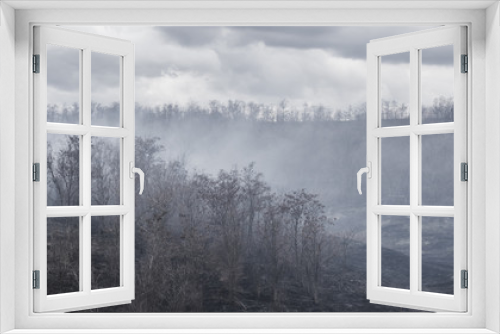 Fototapeta Naklejka Na Ścianę Okno 3D - Black charred trees and grass in the smoke after the fire in the valley the gloomy clouds background.
