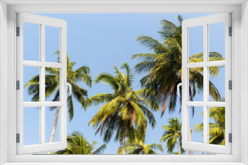 Fototapeta Naklejka Na Ścianę Okno 3D - green palm trees ove blue sky