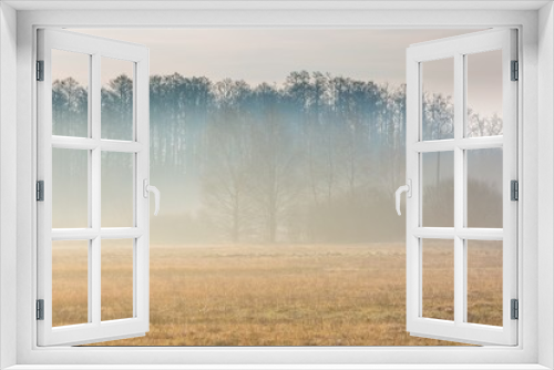 Fototapeta Naklejka Na Ścianę Okno 3D - Early spring foggy meadow at sunrise