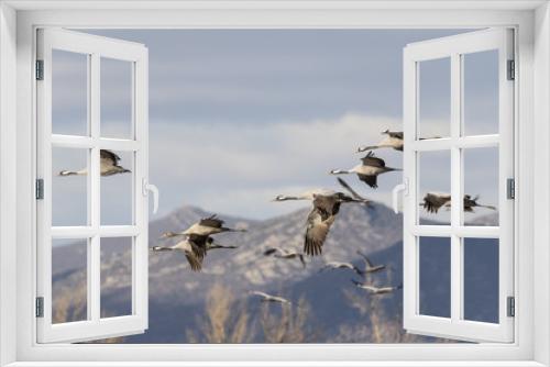 Fototapeta Naklejka Na Ścianę Okno 3D - Grullas volando sobre Gallocanta