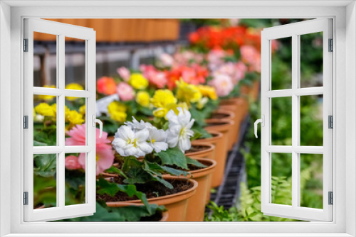 Fototapeta Naklejka Na Ścianę Okno 3D - Flowers garden.