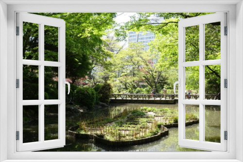 Fototapeta Naklejka Na Ścianę Okno 3D - 公園の新緑