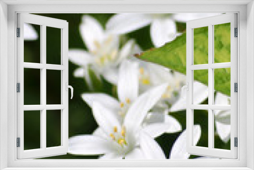 Fototapeta Naklejka Na Ścianę Okno 3D - Schönheit in Natur