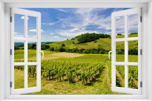 Fototapeta Naklejka Na Ścianę Okno 3D - vineyards, Chateau Chalon, Jura, Franche-Comté, France