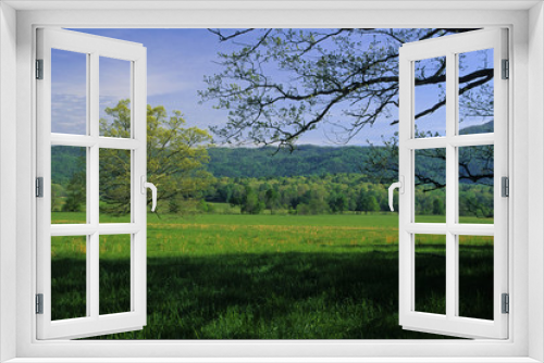 Fototapeta Naklejka Na Ścianę Okno 3D - Spring Landscape, Cades Cove, Great Smoky Mountains NP