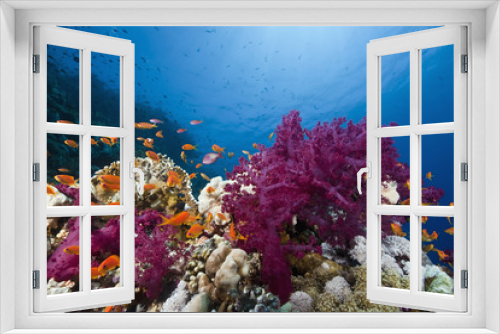 Fototapeta Naklejka Na Ścianę Okno 3D - ocean, sun and fish