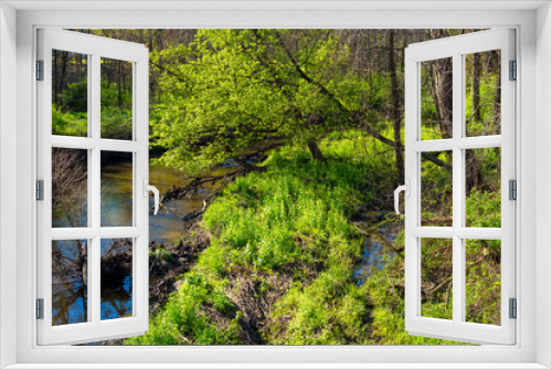 Fototapeta Naklejka Na Ścianę Okno 3D - A creek meanders through new green growth in the clear light of early spring