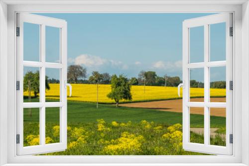 Fototapeta Naklejka Na Ścianę Okno 3D - Agrarlandschaft