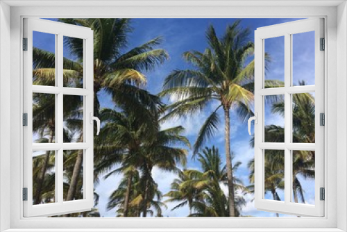 Fototapeta Naklejka Na Ścianę Okno 3D - Palm trees in front of blue sky