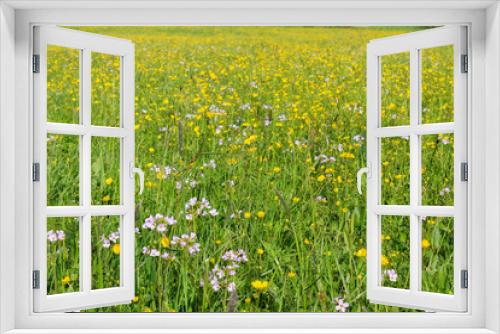 Fototapeta Naklejka Na Ścianę Okno 3D - White and yellow wildflowers in green grass