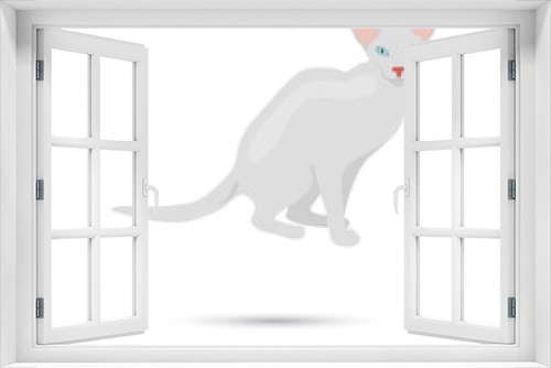 Fototapeta Naklejka Na Ścianę Okno 3D - Oriental cat breed for web and mobile design