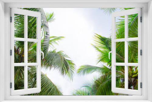 Fototapeta Naklejka Na Ścianę Okno 3D - COCONUT TREE