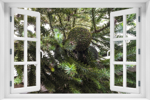 Fototapeta Naklejka Na Ścianę Okno 3D - paisagem de outono inverno