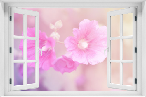 Fototapeta Naklejka Na Ścianę Okno 3D - Bright Purple Flower