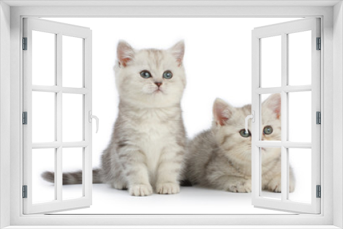 Fototapeta Naklejka Na Ścianę Okno 3D - Kittens