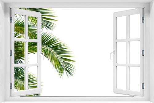 Fototapeta Naklejka Na Ścianę Okno 3D - palme, palmwedel, palmblätter vor weißem hintergrund