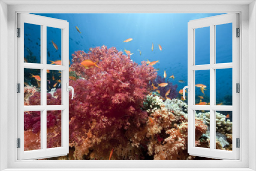 Fototapeta Naklejka Na Ścianę Okno 3D - ocean, sun and fish