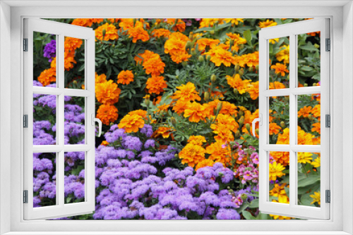 Fototapeta Naklejka Na Ścianę Okno 3D - Blumengarten