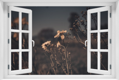 Fototapeta Naklejka Na Ścianę Okno 3D - Autumn '16