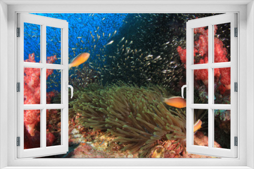 Fototapeta Naklejka Na Ścianę Okno 3D - Coral reef and fish underwater