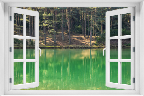 Fototapeta Naklejka Na Ścianę Okno 3D - Beautiful vibrant landscape image of old clay pit quarry lake with unusual colored green water
