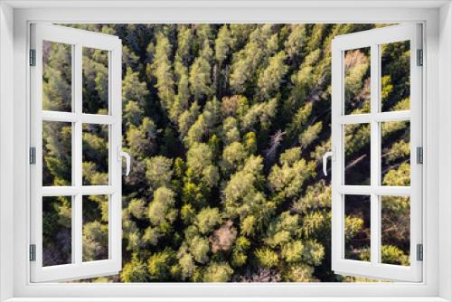 Fototapeta Naklejka Na Ścianę Okno 3D - drone image. aerial view of forest