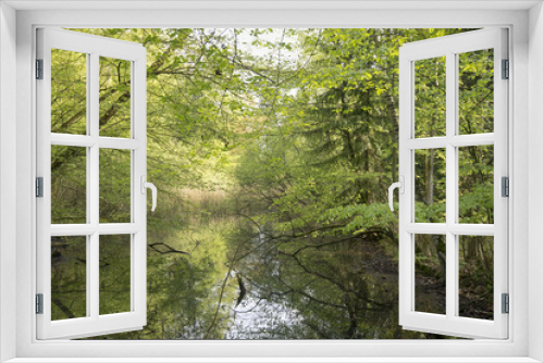 Fototapeta Naklejka Na Ścianę Okno 3D - Springtime in a Danish forest
