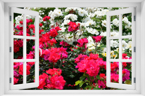 Fototapeta Naklejka Na Ścianę Okno 3D - flower garden