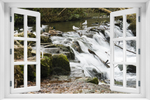 Fototapeta Naklejka Na Ścianę Okno 3D - Close up of small waterfall in Clumber Park Nottinghamshire, England