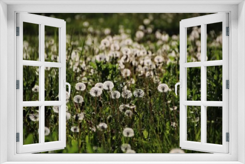 Fototapeta Naklejka Na Ścianę Okno 3D - Nareszcie wiosna