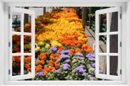Fototapeta Naklejka Na Ścianę Okno 3D - lavender,yellow,orange