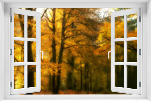 Fototapeta Naklejka Na Ścianę Okno 3D - Golden Autumn Wood