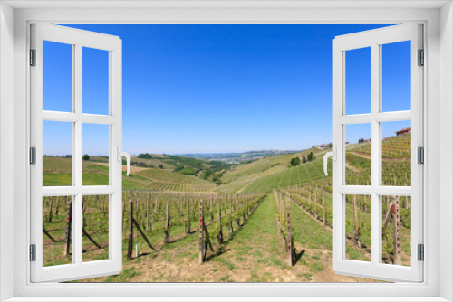 Fototapeta Naklejka Na Ścianę Okno 3D - Landscape with vineyards from Langhe,Italian agriculture