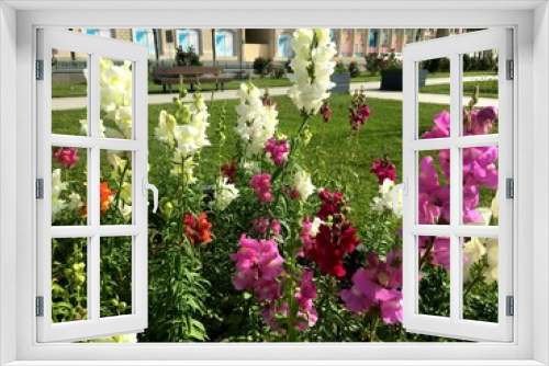 Fototapeta Naklejka Na Ścianę Okno 3D - summer flowers..  in city park