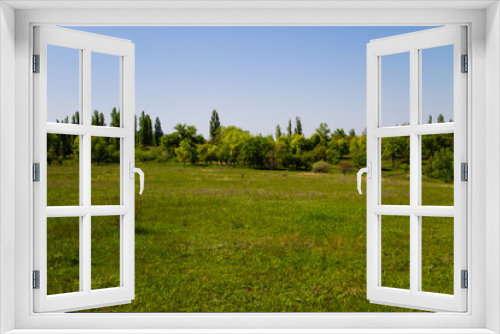 Fototapeta Naklejka Na Ścianę Okno 3D - Spring landscape with green meadow and trees