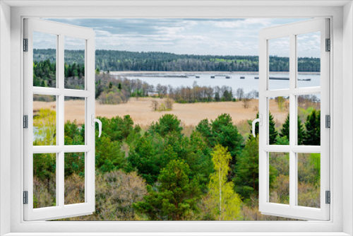 Fototapeta Naklejka Na Ścianę Okno 3D - View of the pine forest of a lake and grass on the coast of the bay.