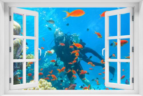 Fototapeta Naklejka Na Ścianę Okno 3D - Активный отдых в Египте. Погружение с аквалангом возле коралловых рифов